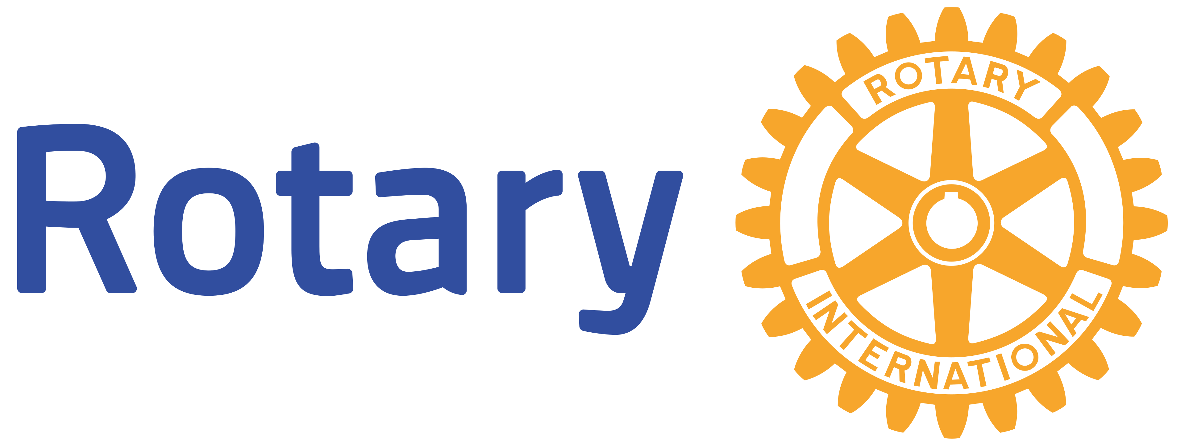 rotary international